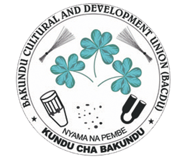 BACDU logo symbolism